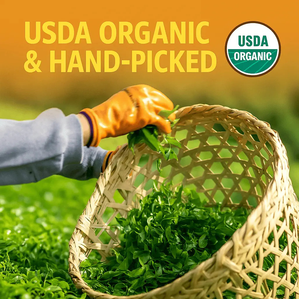 USDA Organic hand-picked Himalayan Golden Black Tea leaves in the Ilam region of Nepal