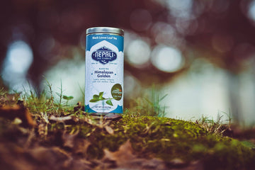 Himalayan Golden Organic Loose Leaf Nepali Black Tea