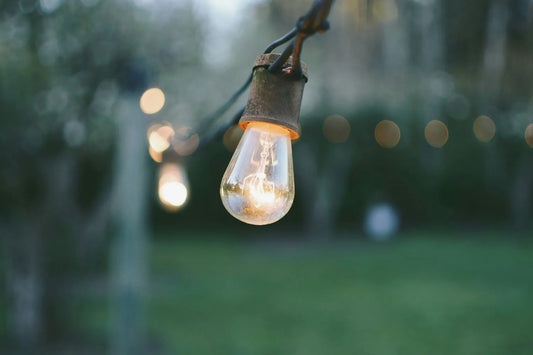 Light bulb for tea myth
