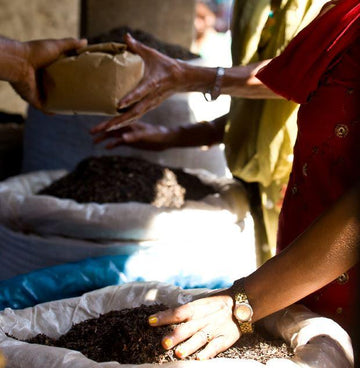 Tea vendor in nepal selling nepali teas