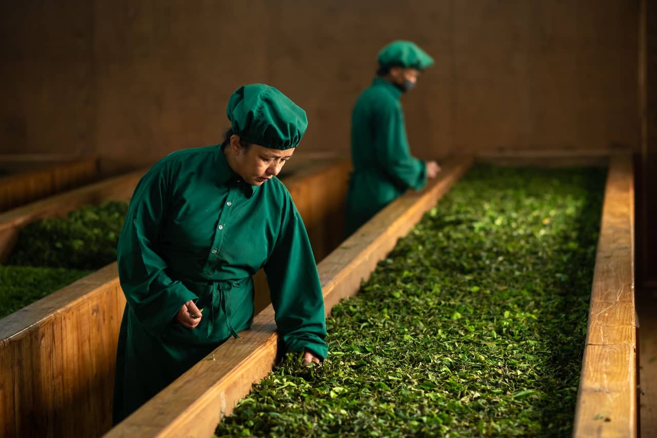 Nepal-Loose-Leaf-Tea-Organic-First Flush