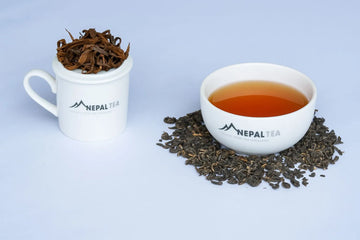 Loose-leaf black tea from Nepal with amber liquor in branded tasting cups on a light background