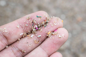 Close-up of microplastics on fingertips, illustrating plastic particles relevant to hot drinks and tea.