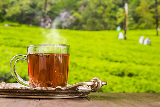 Glass of steaming Nepal tea in front of green Himalayan tea fields