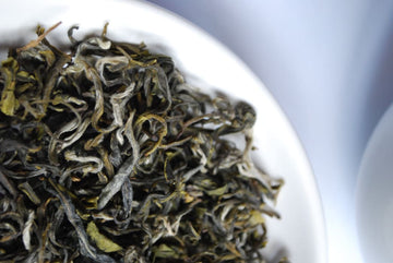 Steeping organic green tea in a glass teapot with whole loose leaves.