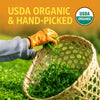 USDA Organic hand-picked Himalayan Golden Black Tea leaves in the Ilam region of Nepal