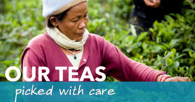 Nepali-Tea-Traders-Teas-Picked-With-Care