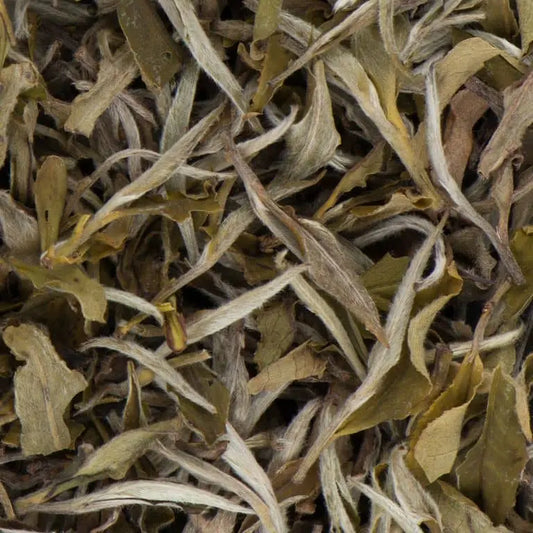 Detailed close-up of Ama Dablam white tea loose leaf featuring downy silver buds and large, intact green tea leaves.