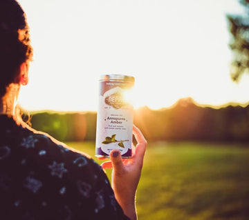 Hand holding Nepali Tea Traders Annapurna Amber Oolong Tea tin at sunset in a green field—Nepal loose-leaf oolong.