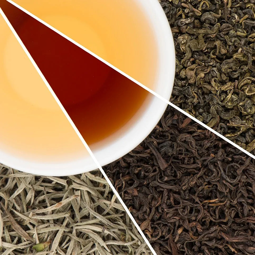Holiday gift bundle featuring a variety of award-winning USDA organic Nepali teas including black, green, and white loose-leaf samplers.