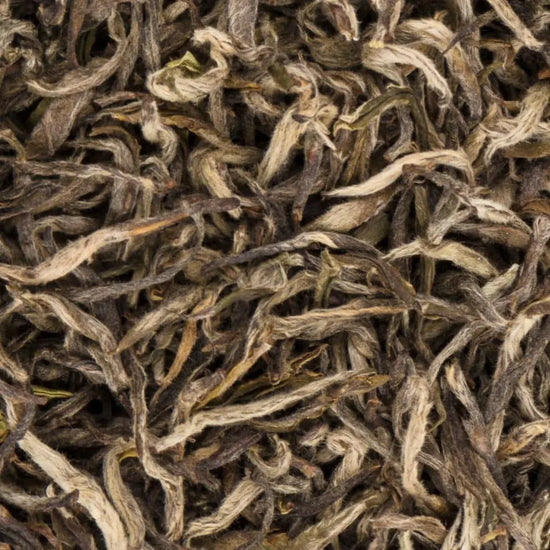 Detailed view of Manaslu Spring Tippy first flush tea leaves featuring soft downy buds and spring-green edges.