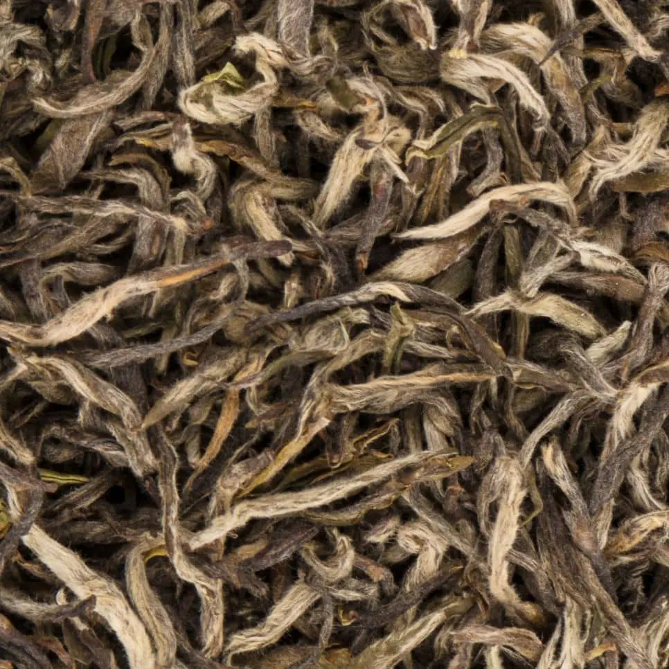 Detailed view of Manaslu Spring Tippy first flush tea leaves featuring soft downy buds and spring-green edges.