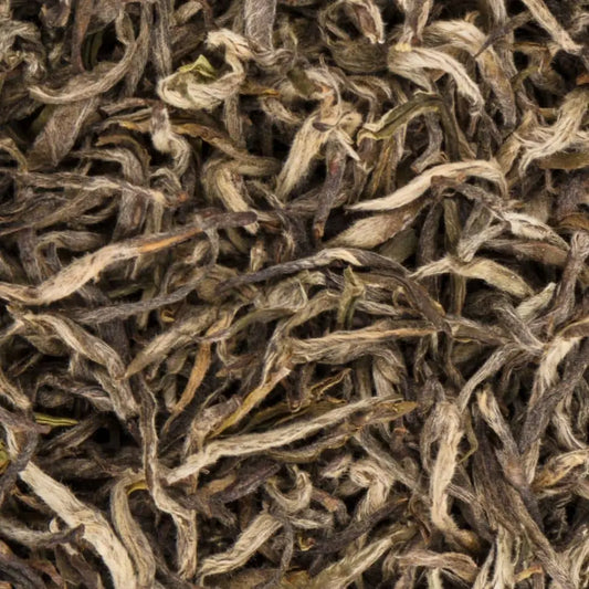 Detailed view of Manaslu Spring Tippy first flush tea leaves featuring soft downy buds and spring-green edges.