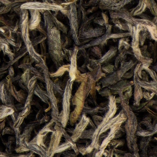 Close-up of Premium Spring Tippy Nepal black tea leaves with silver tips