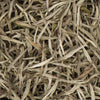 Close-up of premium Silver Tips white tea showing long downy buds and high-quality needle-shaped leaves.