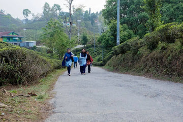 Women walking along a road through tea gardens in Ilam, Nepal—supporting local communities.