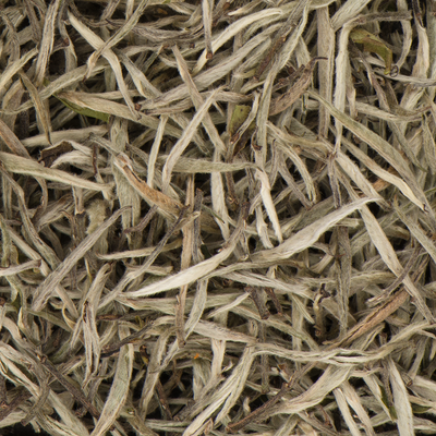 Nepalese Silver Tips Organic Loose Leaf White Tea with Sweet Grass Hint of Citrus and Almond Notes