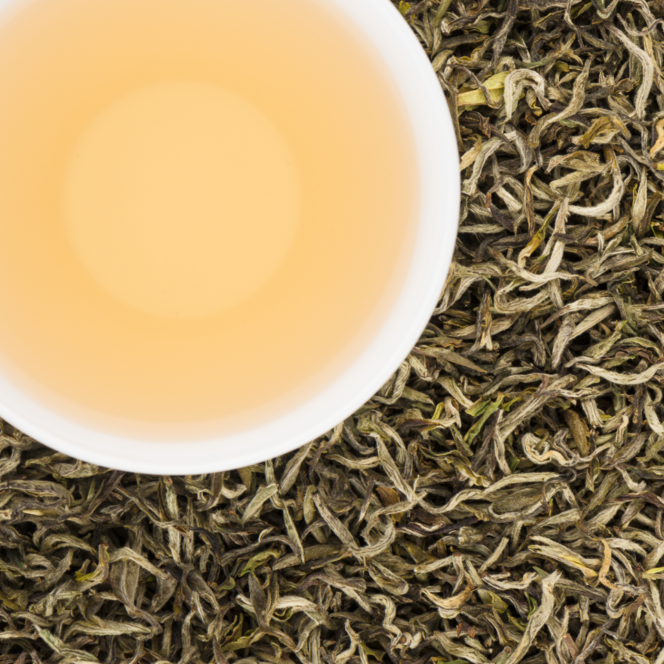 Spring White Buds Organic Loose Leaf White Tea with Delicate Smooth and Buttery notes